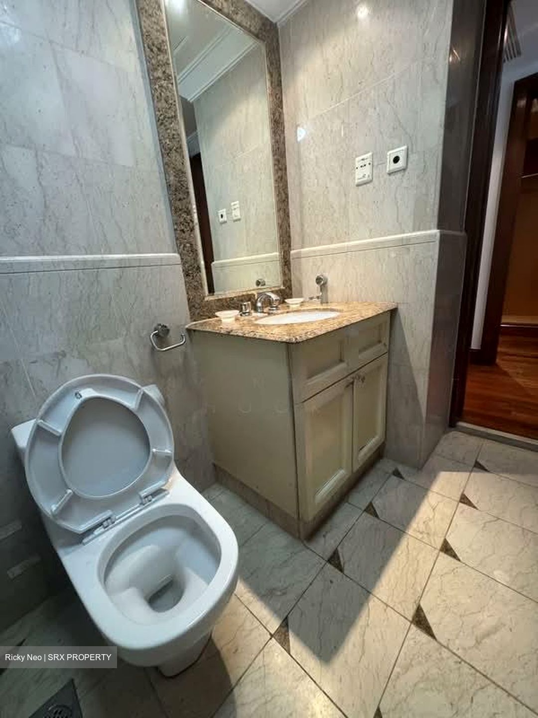Valley Park (D10), Condominium #595772951